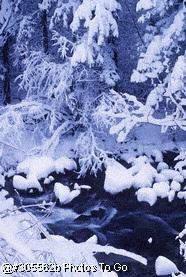 Snow covered creek
